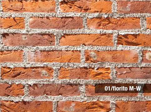 Fiorito MW